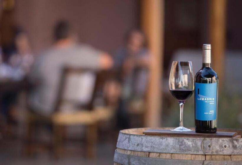 住宿加早餐 Lamadrid Guest House