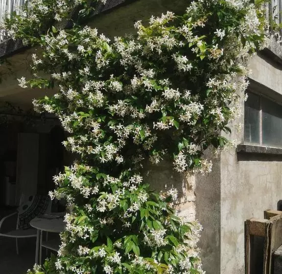 ベッドアンドブレックファースト Un Coin De Paradis En Dordogne