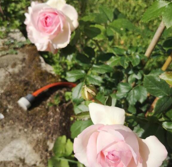 Bed and Breakfast Un Coin De Paradis En Dordogne