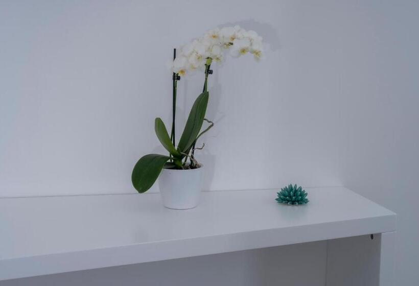 تختخواب و صبحانه Villa L Ara