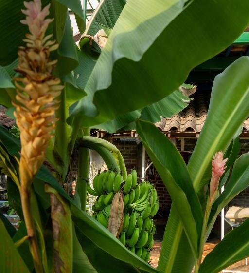 Eco Hotel El Acuario