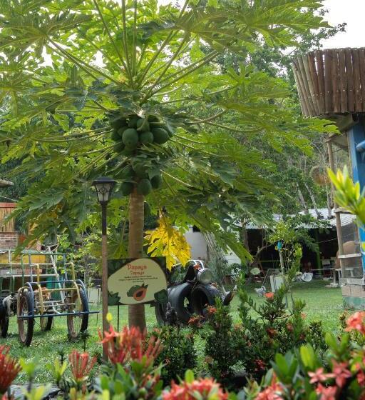 Eco Hotel El Acuario