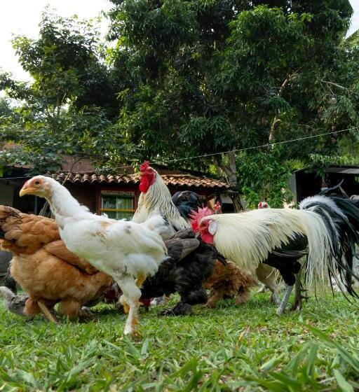 Eco Hotel El Acuario