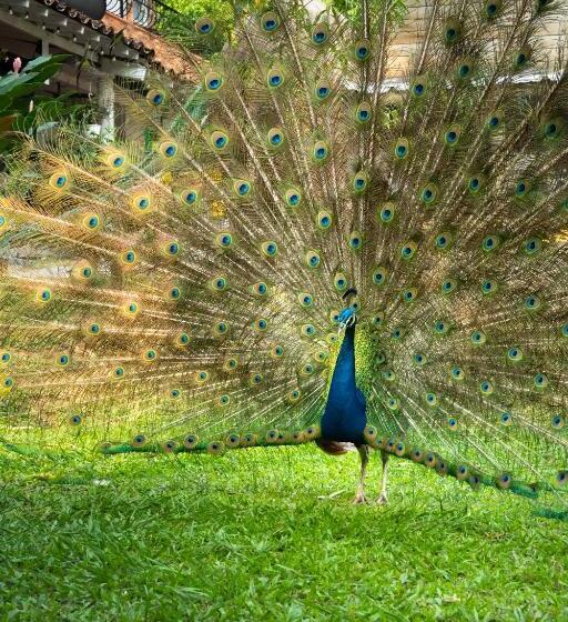 Eco Hotel El Acuario