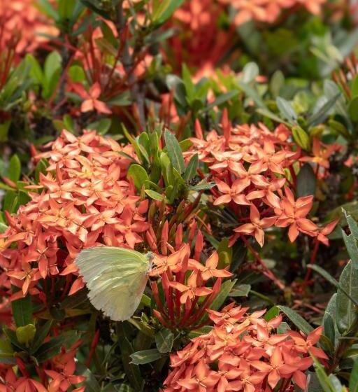 Eco Hotel El Acuario