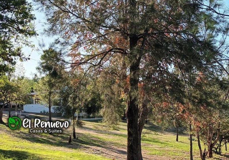 El Renuevo Casas Y Suites