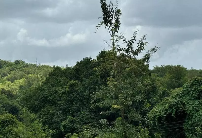 Hotelli Shalini Palace