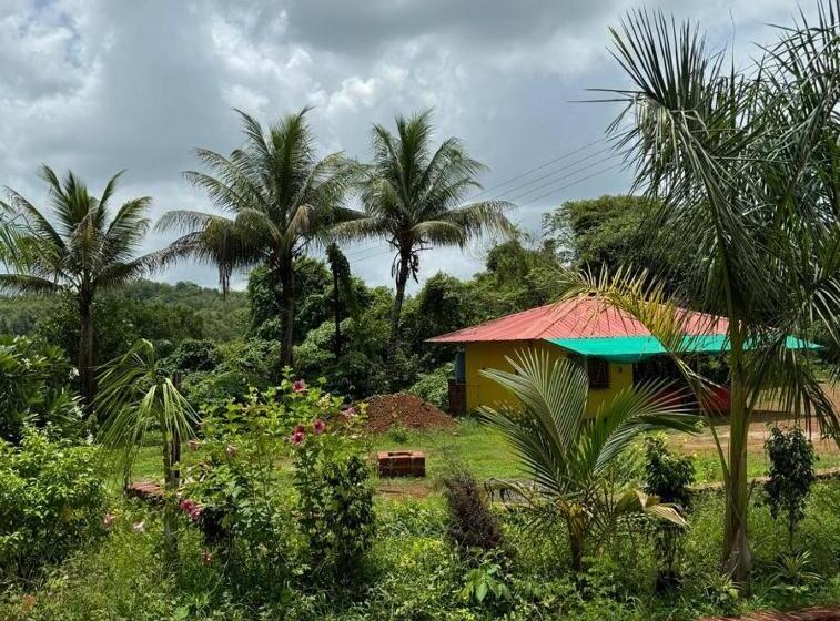 Hotel Shalini Palace