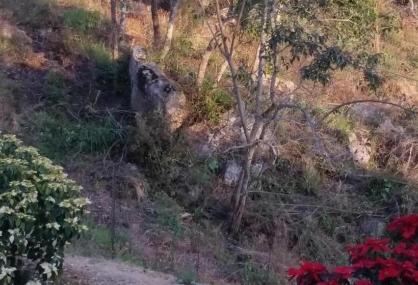 膳宿费 Jackal Buzzard Mountain Guesthouse