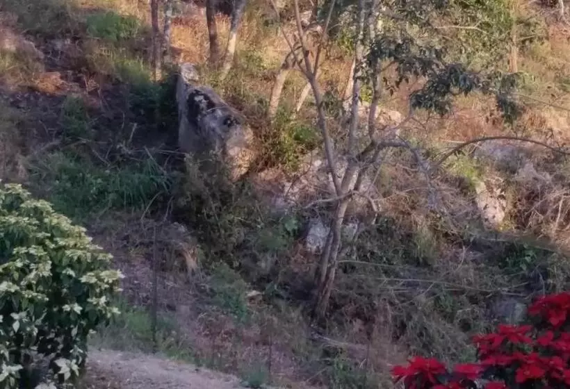 Majatalo Jackal Buzzard Mountain Guesthouse