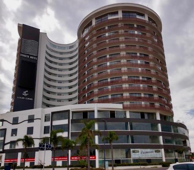 Suite 504 Hotel Sonata