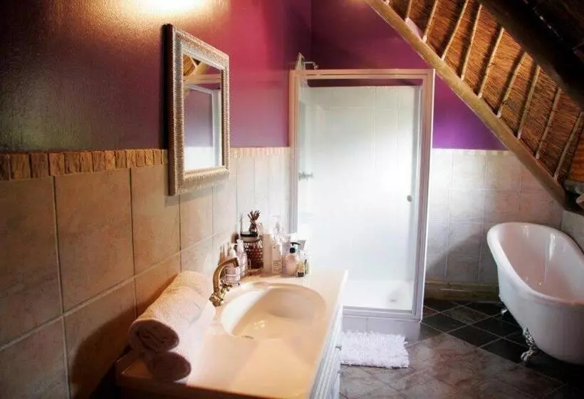ベッドアンドブレックファースト Midrand Wild Goose Guest House & Conferencing Venue