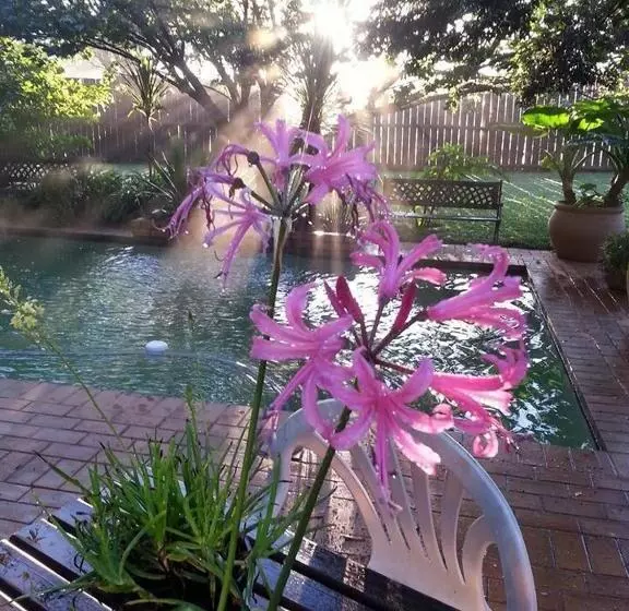 ベッドアンドブレックファースト Midrand Wild Goose Guest House & Conferencing Venue