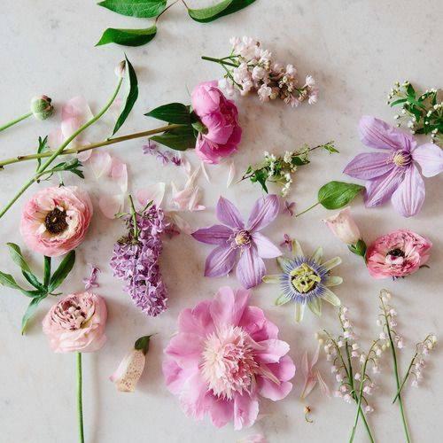 ベッドアンドブレックファースト Midrand Wild Goose Guest House & Conferencing Venue