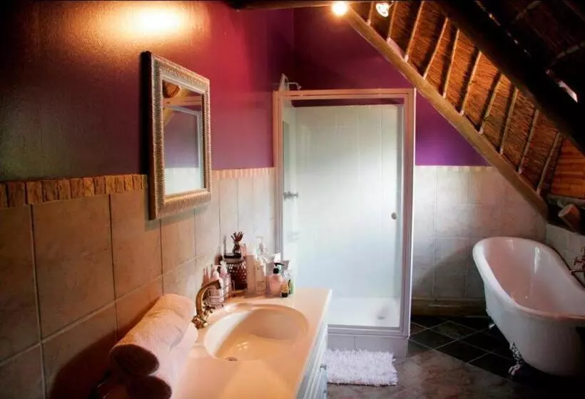 ベッドアンドブレックファースト Midrand Wild Goose Guest House & Conferencing Venue