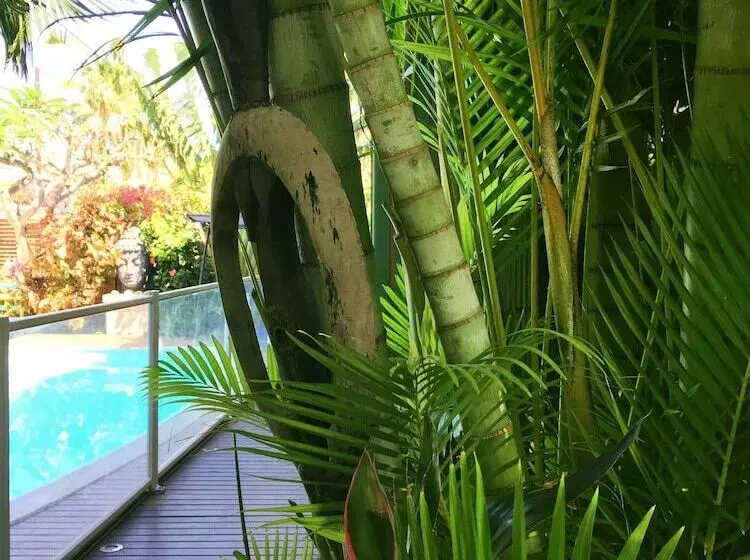 هتل Hôtel Les Bougainvilliers
