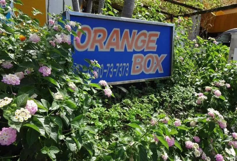 ホテル Pension Orange Box