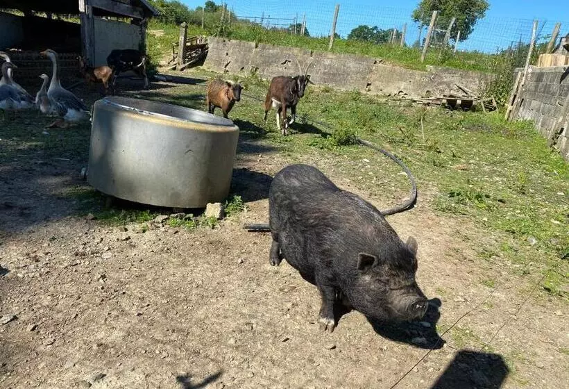 Aamiaismajoitus (B&B) La Pautière