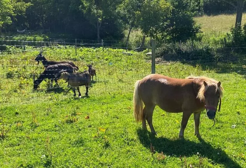 Aamiaismajoitus (B&B) La Pautière