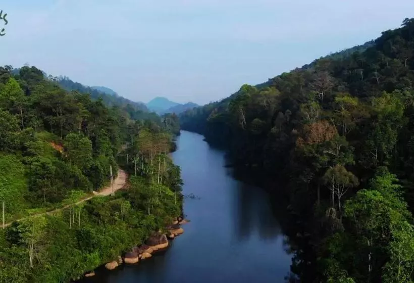 Hotelli Giants Forest