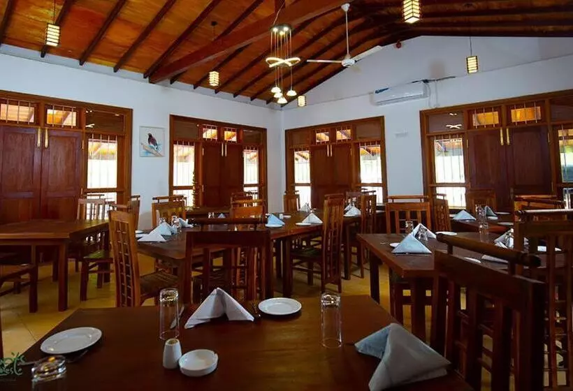 Hotelli Giants Forest