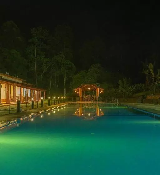 Hotelli Giants Forest