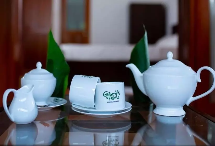 Hotelli Giants Forest