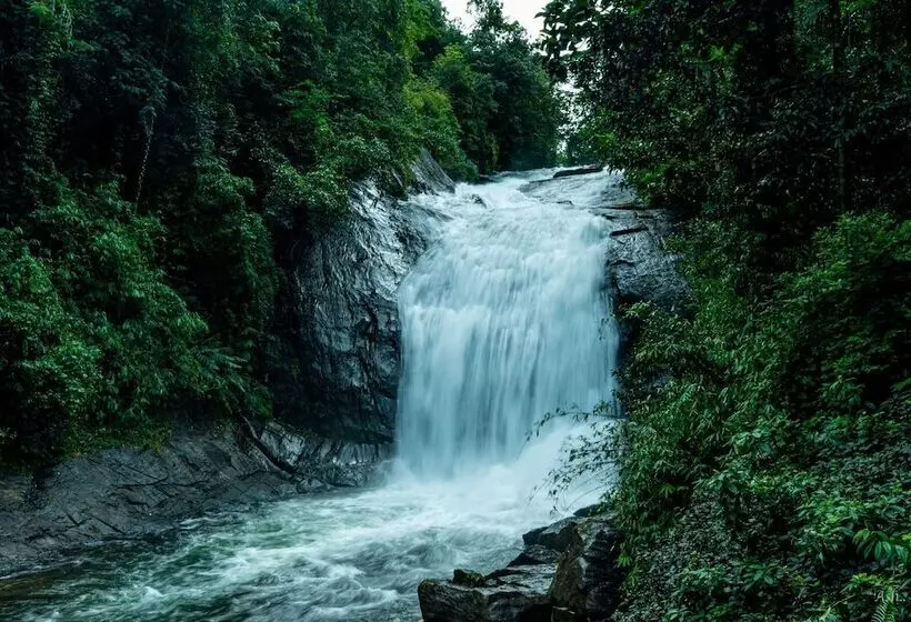 Hotelli Giants Forest