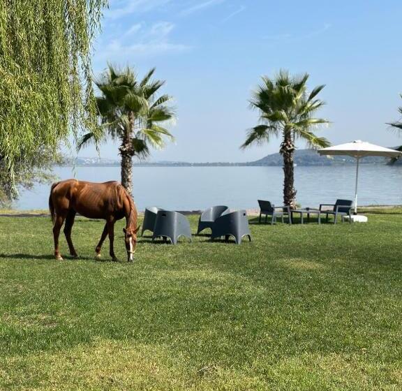 Курорт Aura Sapanca