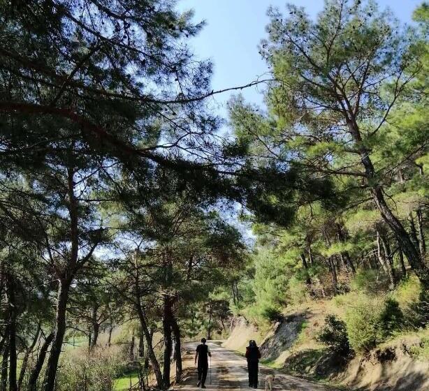 Teora Butik Otel No 68