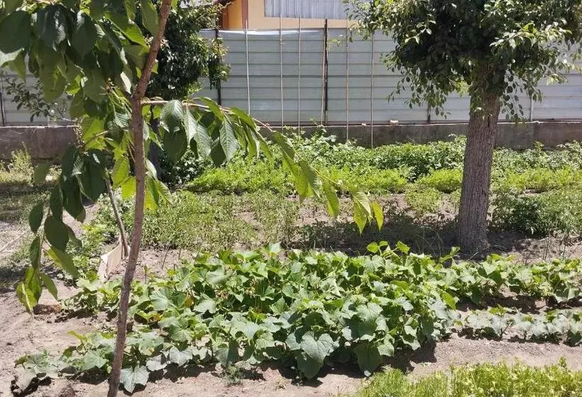 هاستل Milikbek Dodikhudo