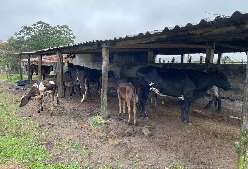 ユースホステル Recanto Do Matuto