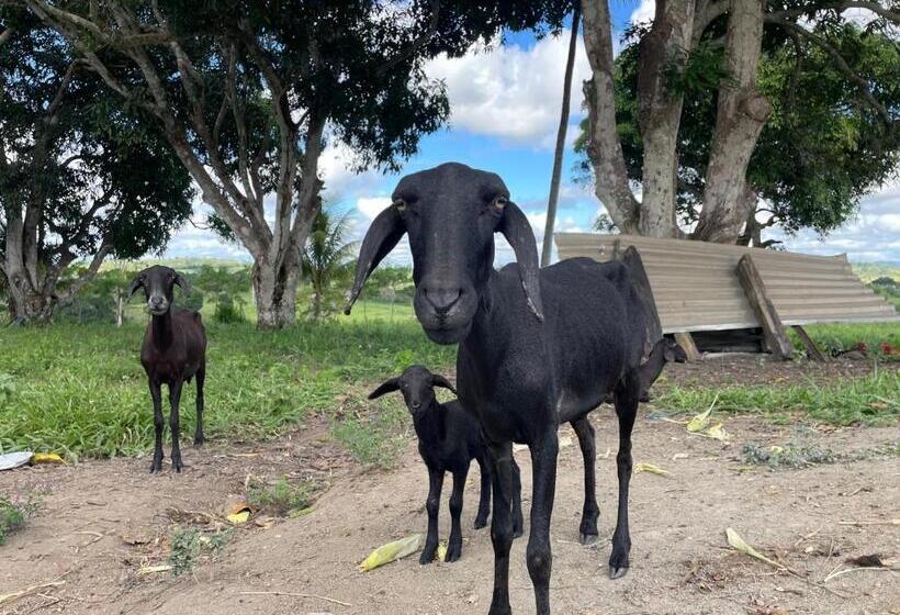 旅馆 Recanto Do Matuto