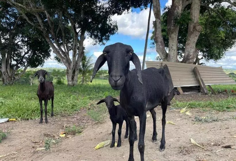 ユースホステル Recanto Do Matuto