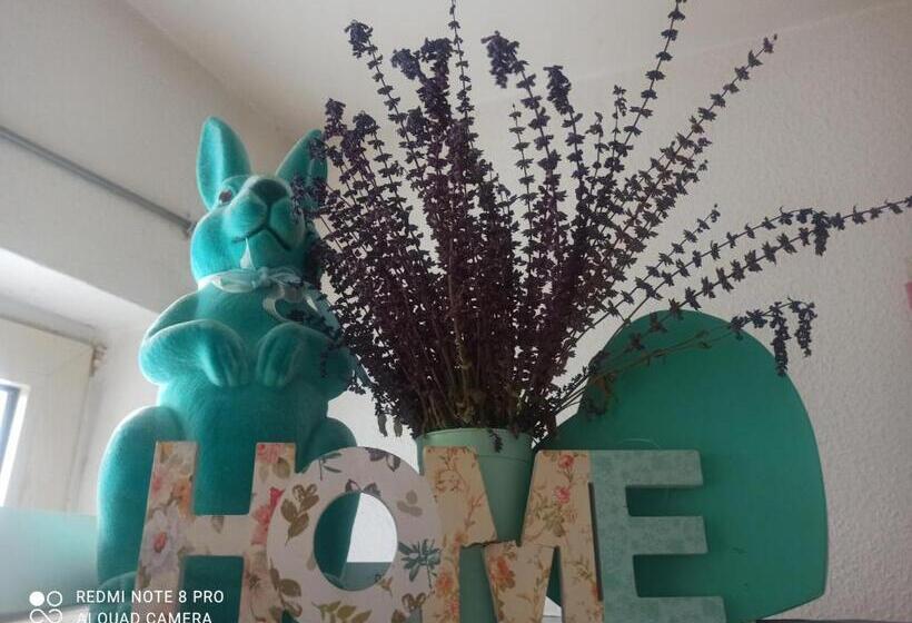 پانسیون Perfect Place To Be