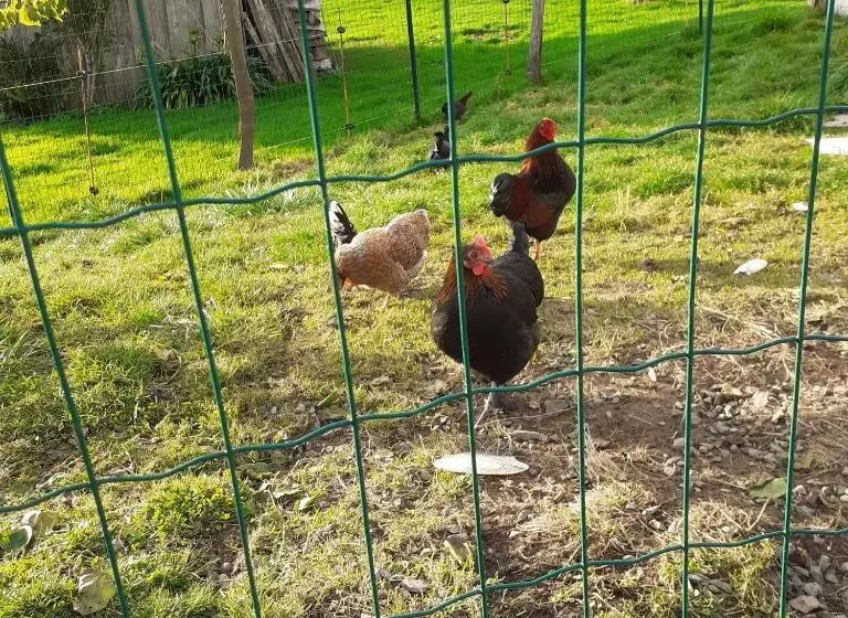 Aamiaismajoitus (B&B) Chambre Des Bords De Siame