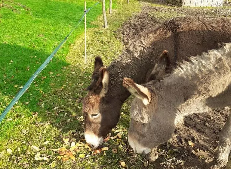 Aamiaismajoitus (B&B) Chambre Des Bords De Siame