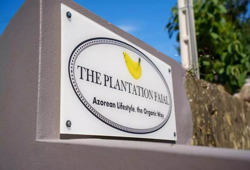 Aamiaismajoitus (B&B) The Plantation Faial
