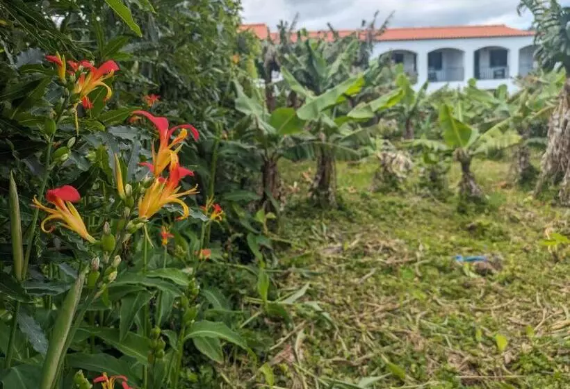 Aamiaismajoitus (B&B) The Plantation Faial