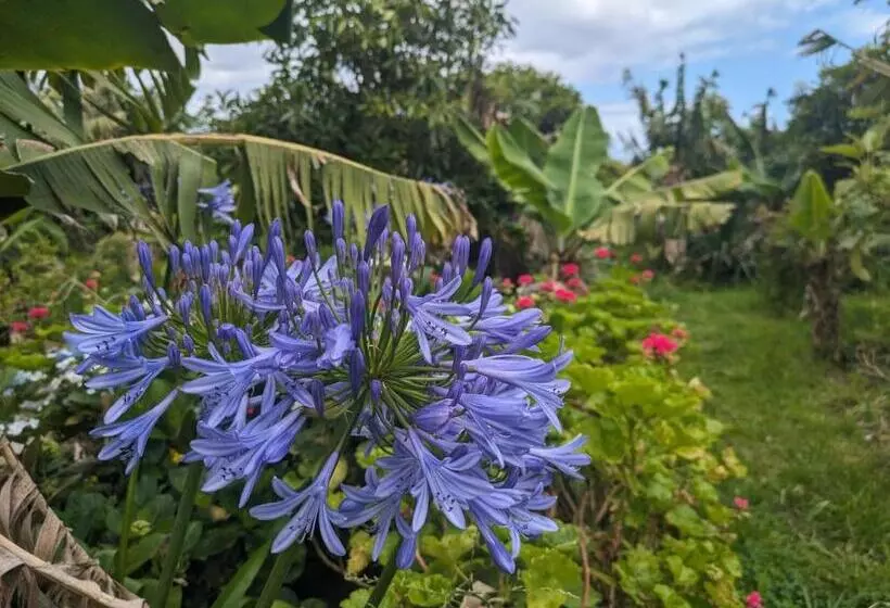 Aamiaismajoitus (B&B) The Plantation Faial