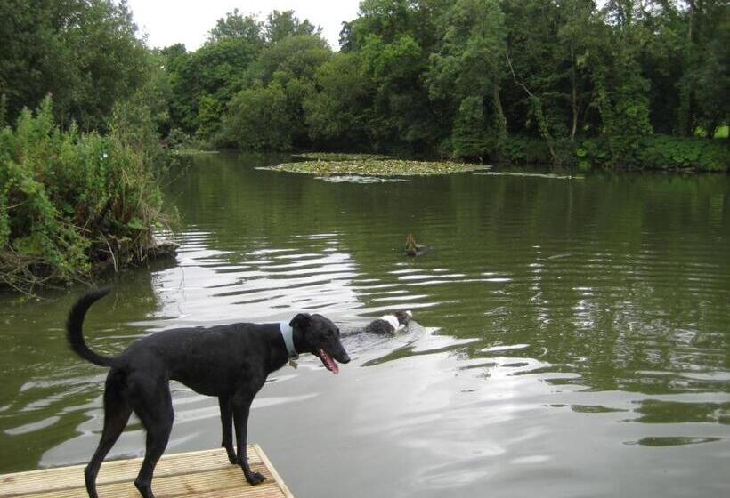 Bed and Breakfast West Compton Manor