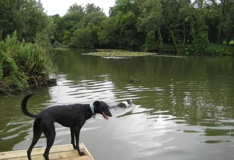 ベッドアンドブレックファースト West Compton Manor