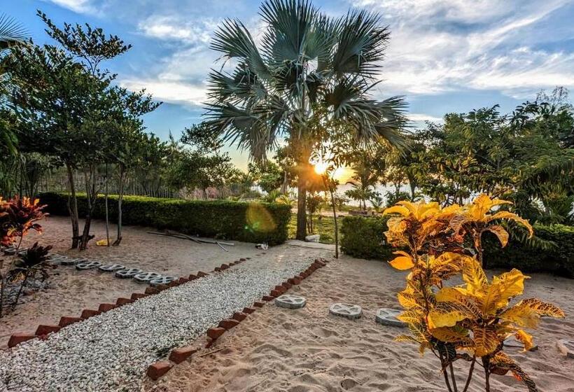 هتل Ampazôny Oasis Lodge