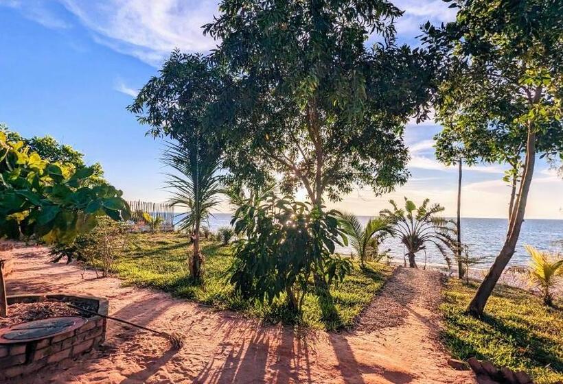 هتل Ampazôny Oasis Lodge