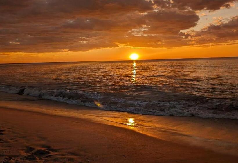 هتل Ampazôny Oasis Lodge