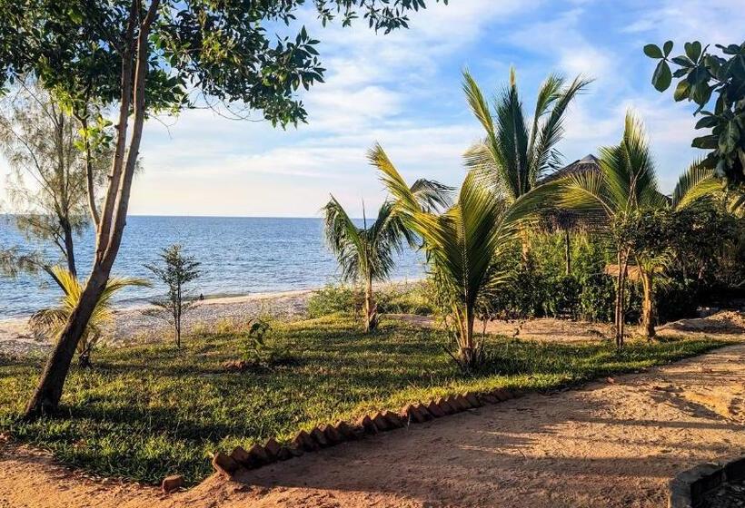 هتل Ampazôny Oasis Lodge