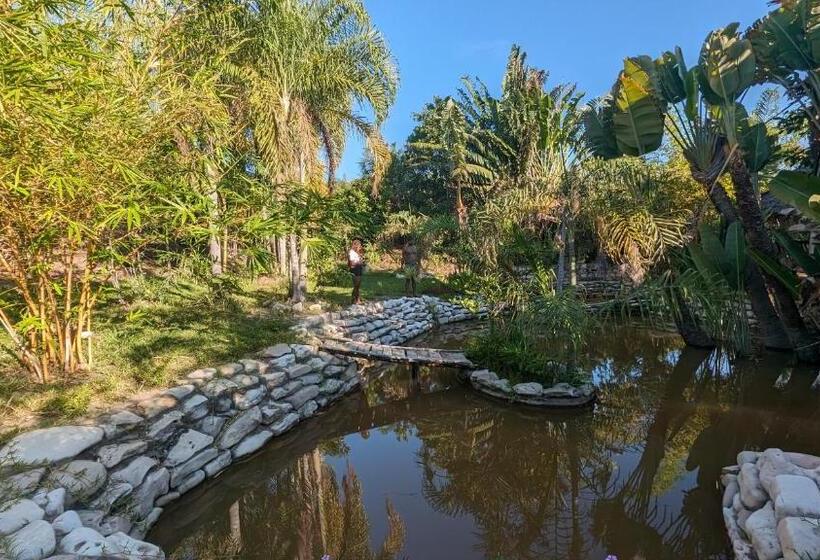 هتل Ampazôny Oasis Lodge