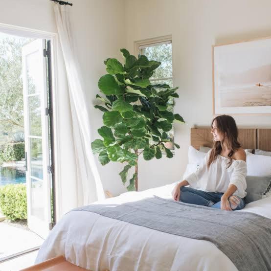 Отель Rani Devi Temple