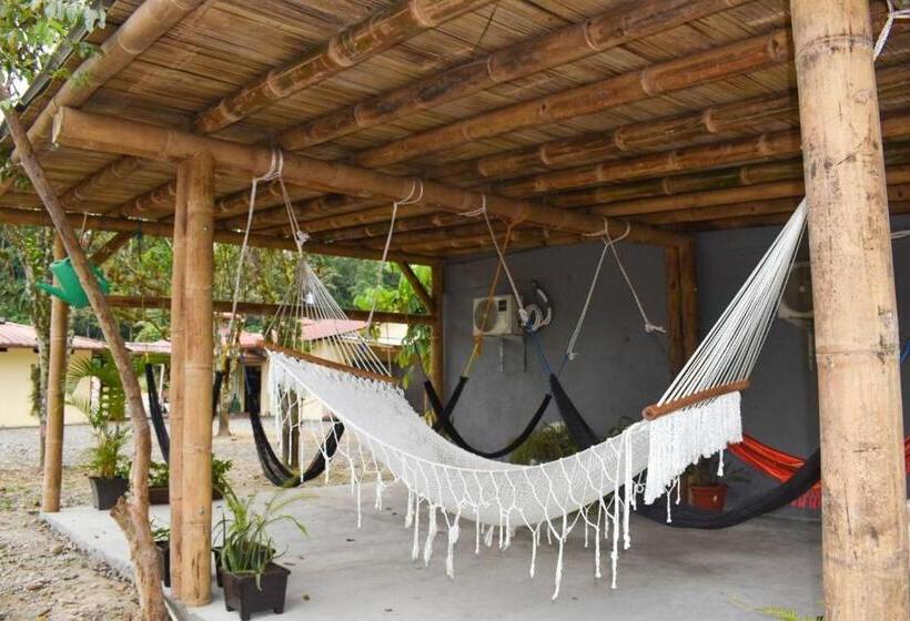 Отель Restaurante Andy