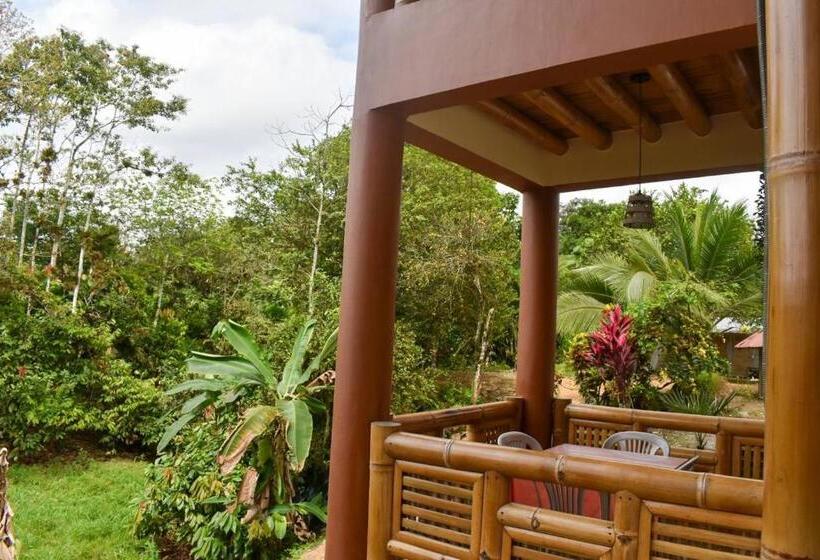 Отель Restaurante Andy